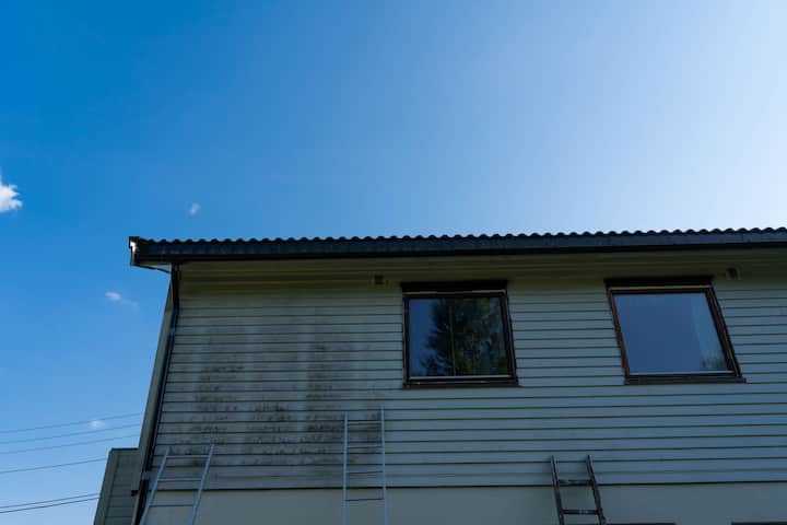 mold removal oakland